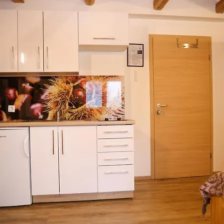 House Storz Apartment Hocko Pohorje
